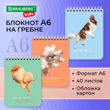 Блокнот МАЛЫЙ ФОРМАТ А6 108х145 мм, 40 л., гребень, картон, клетка, BRAUBERG KIDS, "Собачки", 114394